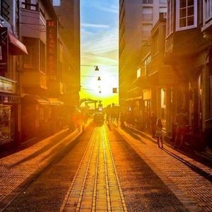 Meet your Posher, Casey